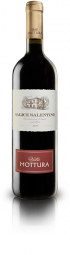 2013er Villa Mottura Salice Salentino DOC