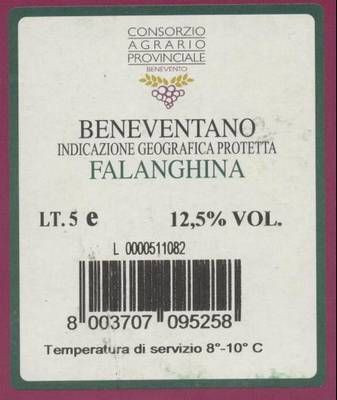 FALANGHINA 'Bag in Box' IGP 5 Liter - bianco